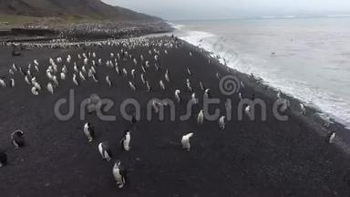 海豹和企鹅沿着<strong>南极</strong>海滩移动。 安德列夫。